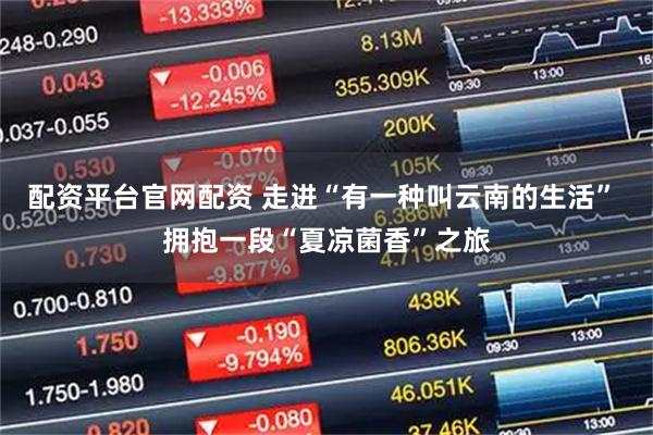 配资平台官网配资 走进“有一种叫云南的生活” 拥抱一段“夏凉菌香”之旅